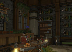 Store counter.